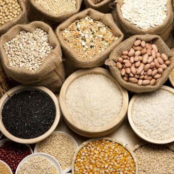 Khẩu phần ăn đầy đủ dinh dưỡng cho người lao động trí óc