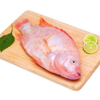 Cá diêu hồng nấu gì ngon? Tuyệt chiêu cách nấu 10 món