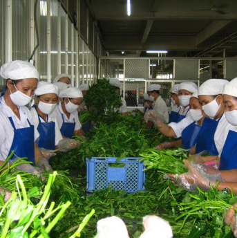 SUẤT ĂN CÔNG NGHIỆP BỔ DƯỠNG VÀ TIẾT KIỆM