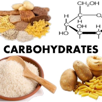 Vai trò của Carbonhydrate trong suất ăn công nghiệp