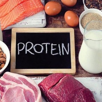 Vai trò của protein trong suất ăn công nghiệp