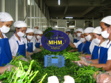 ĐỊNH LƯỢNG PHẦN ĂN SUẤT ĂN CÔNG NGHIỆP